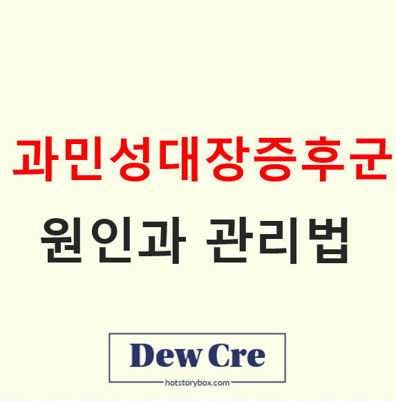 과민성대장증후군 증상 원인과 생활 관리법 체크리스트