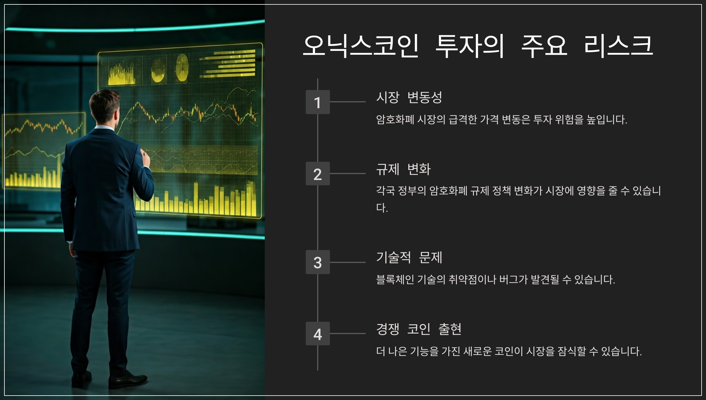 오닉스코인 투자의 주요 리스크