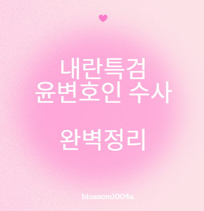 내란특검 윤변호인 수사 완벽정리
