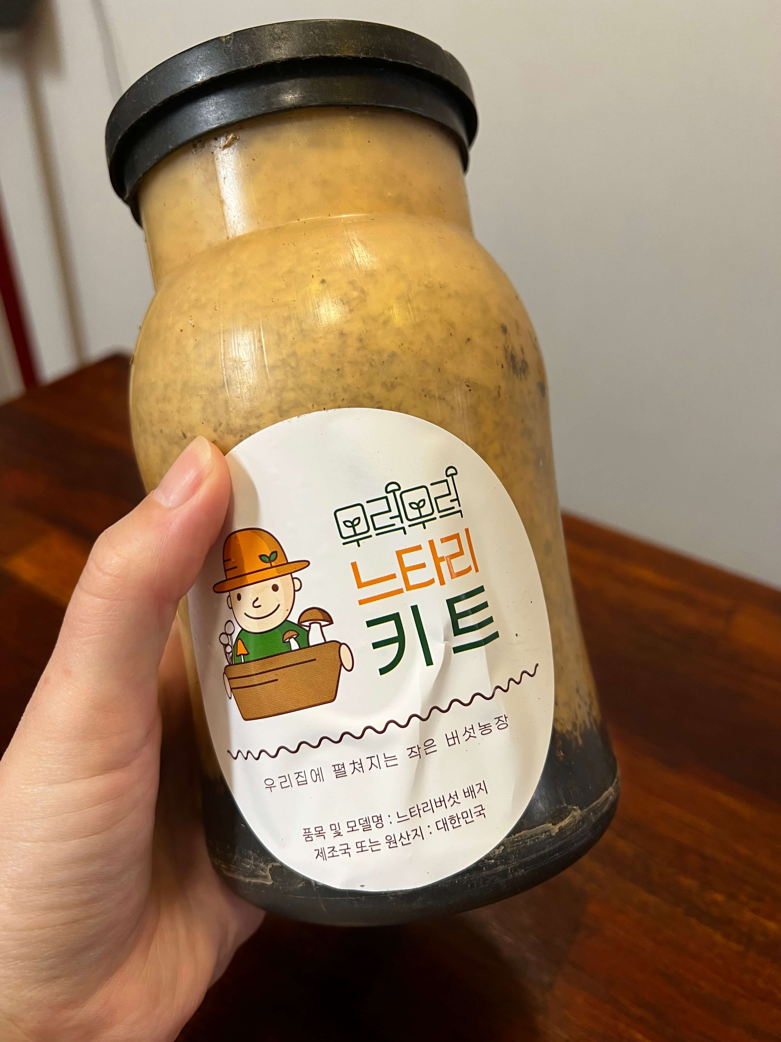 무럭무럭 느타리키트 ㅣ 집에서 버섯 키우기