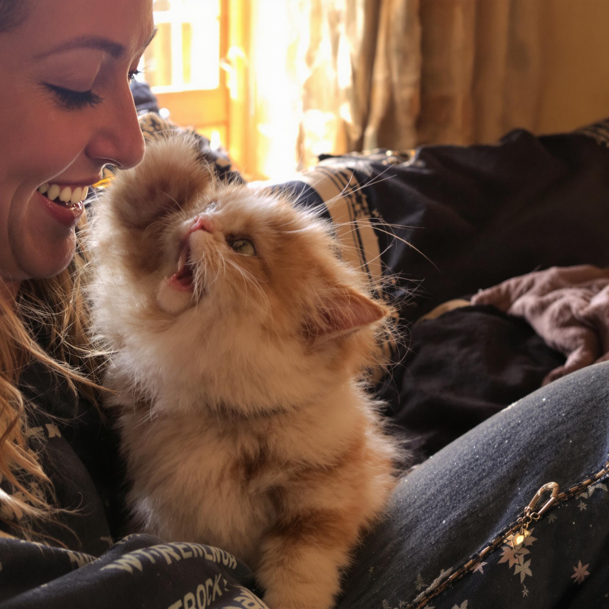 고양이의 스트레스 지표 연구 &ndash; 환경 변화가 미치는 영향 분석