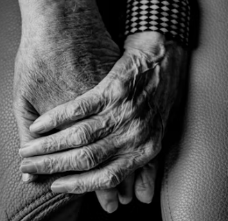 요양원 창업에 대하여 알아보기