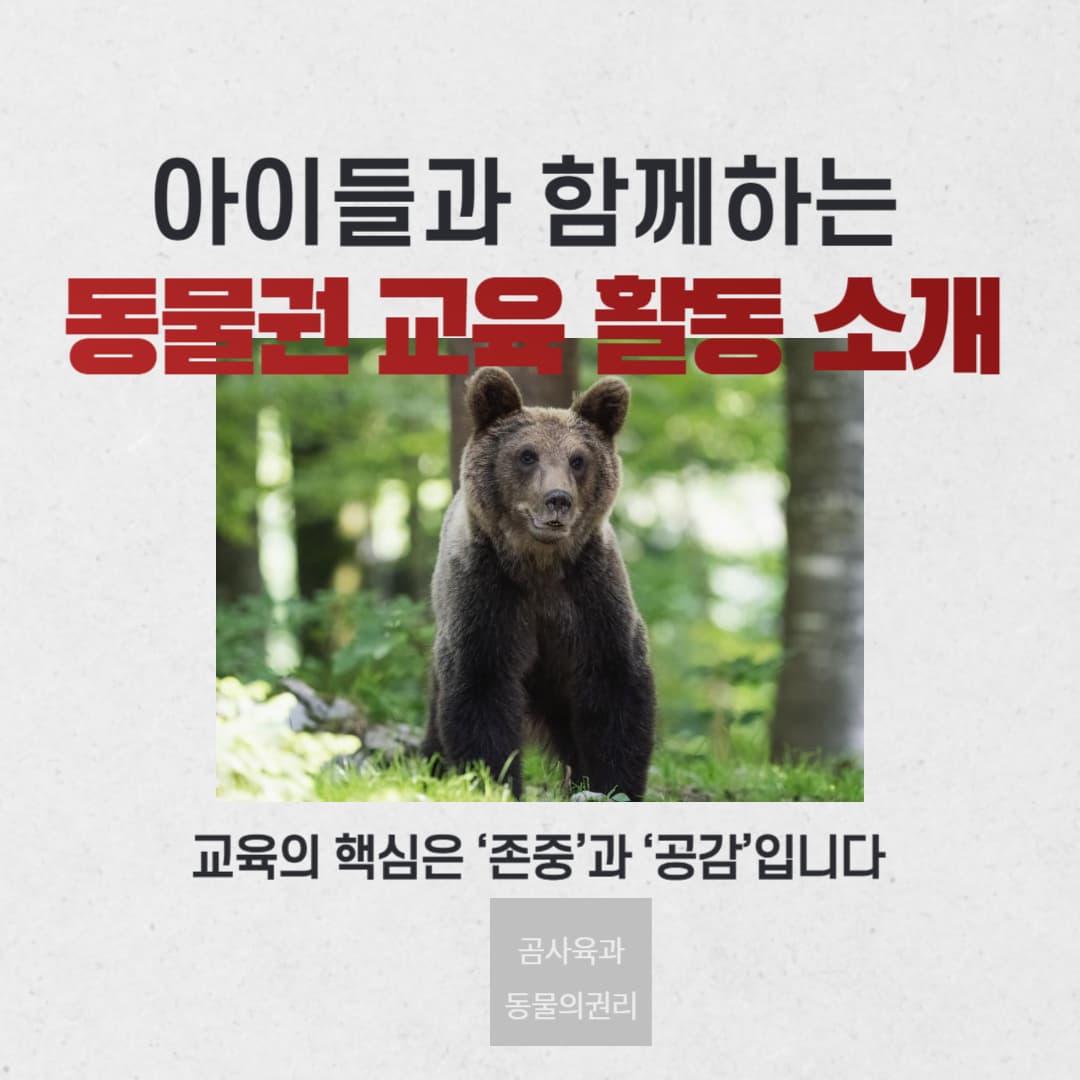아이들과 함께하는 동물권 교육 활동 소개
