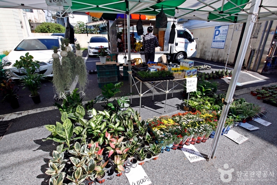 대전 5일장 일정표 대전광역시 오일장 장날표 날짜 주소