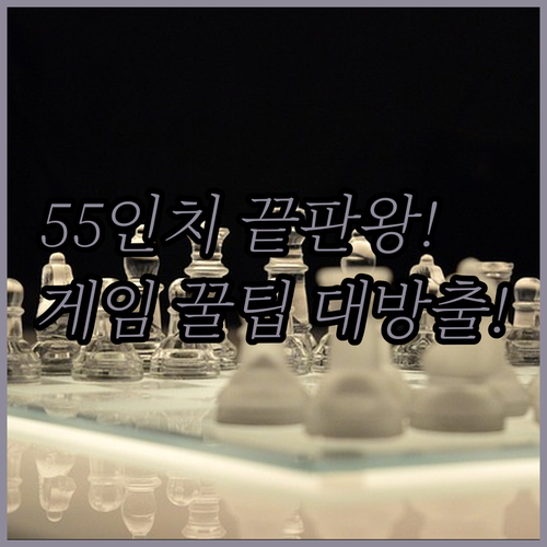 게이밍 55인치 MiniLED 120..