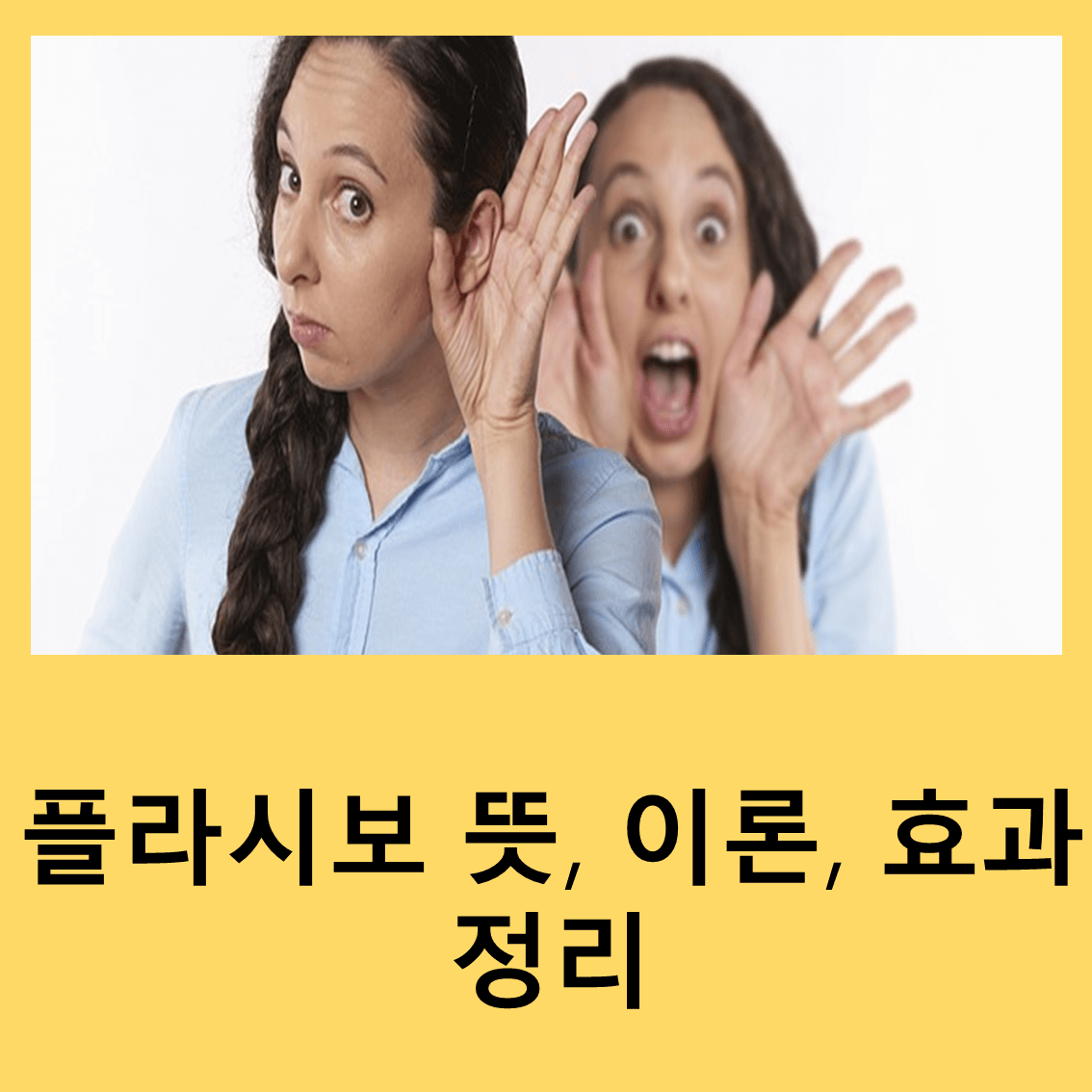 플라시보