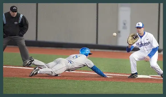 2024 프리미어12 결과 (한국 일본 대만 야구)