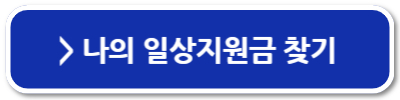 전국민 일상지원금
