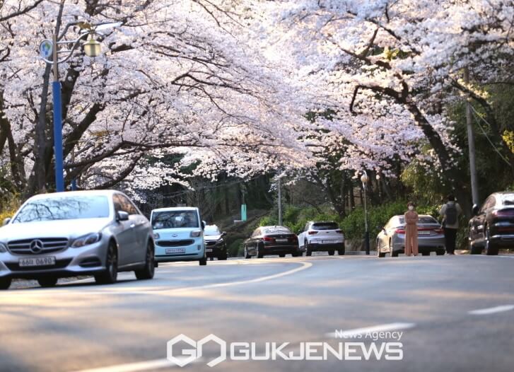 장복산공원