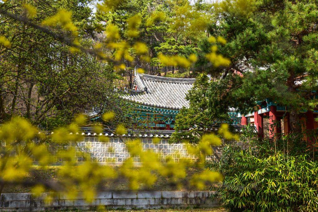 부소산성 - 백제 마지막 도읍의 흔적 찬란한 역사의 숨결을 느낄 수 있는 곳