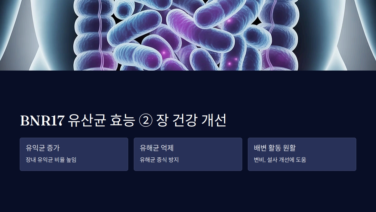 BNR17 유산균 효능