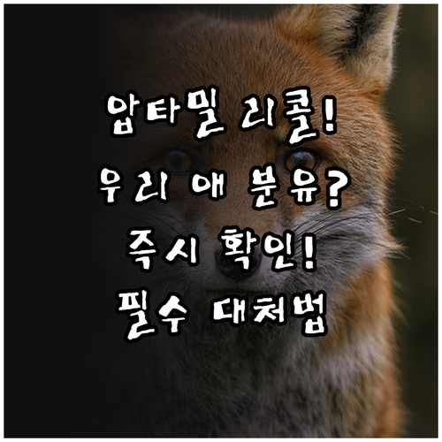 압타밀 리콜 발생 시 즉시 확인해야 ..
