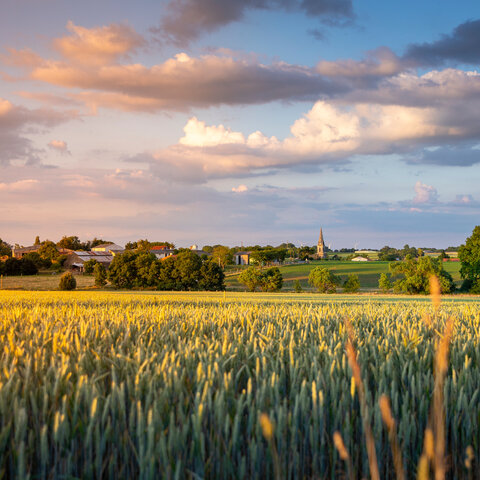 농촌 체류형 쉼터 조건