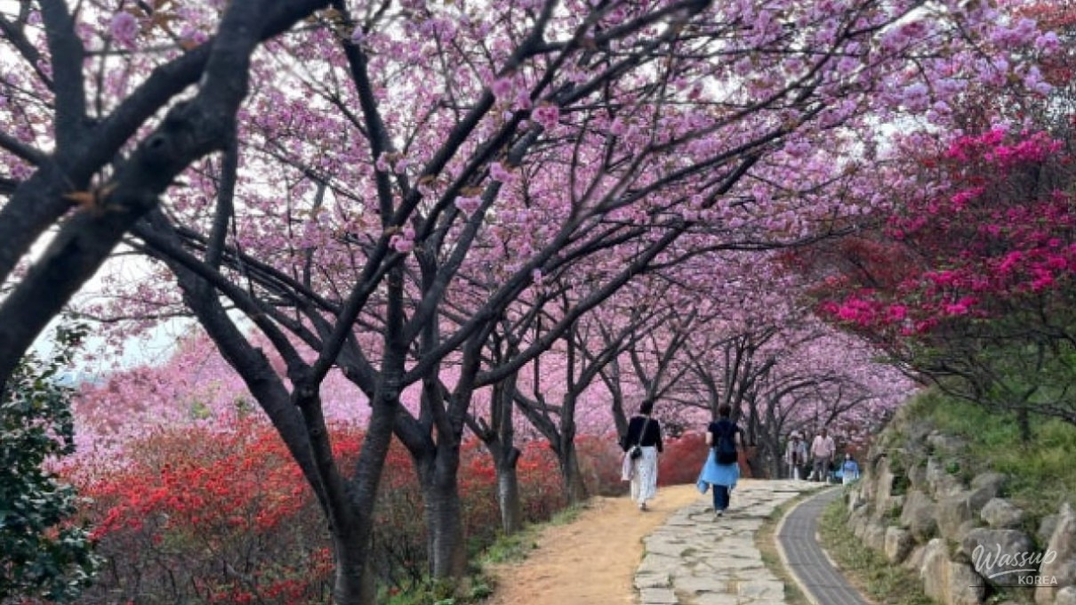 할머니 손맛 전통 한옥 전주 현지인 추천 숨은 맛집 BEST5 확인하기