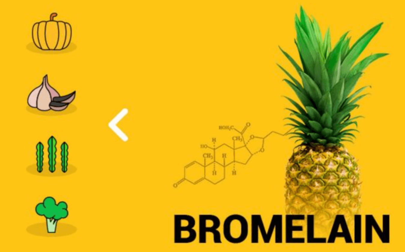브로멜라인 효능