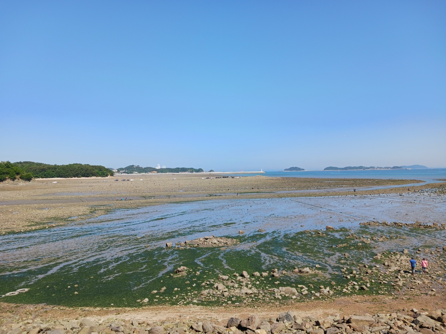마섬포구