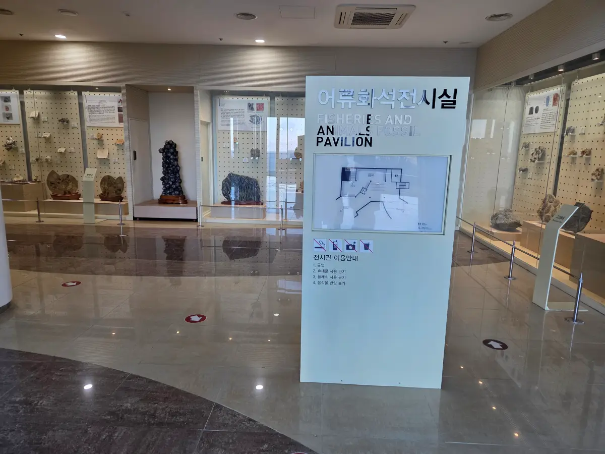 어류화석전시실