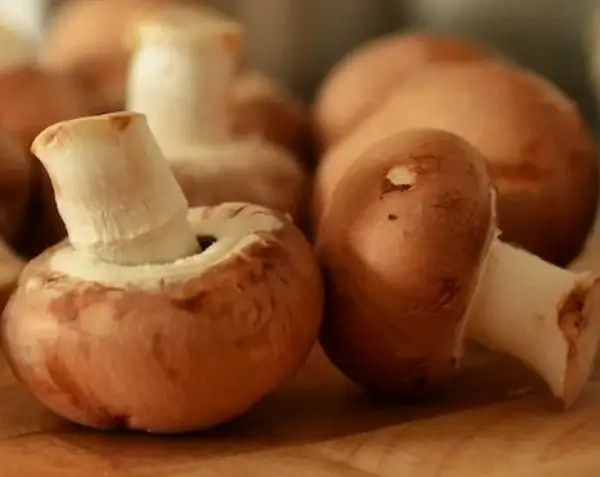 피부묘기증-좋은음식-버섯