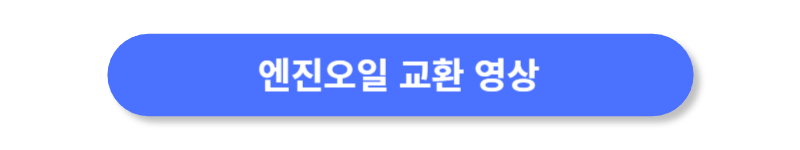 버튼