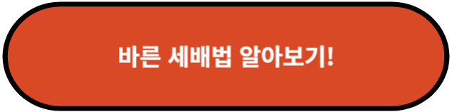 바른 세배법 알아보기