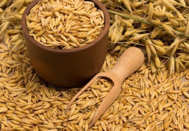 귀리 효능 10가지