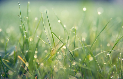 2025년 1호 태풍 우딥