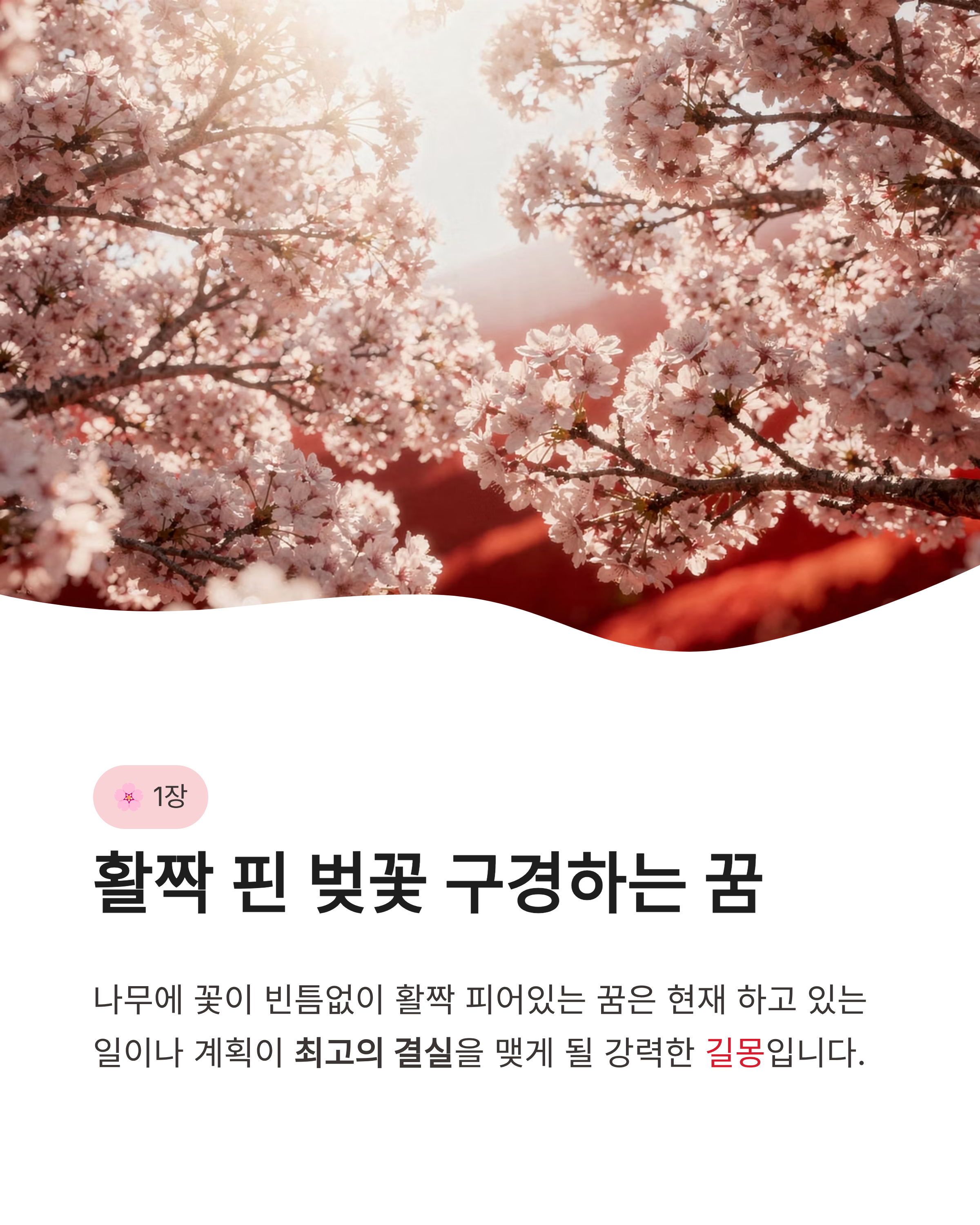 벚꽃꿈 해몽 벚꽃 구경하고 지는 꿈까지 기분 좋은 연애운과 반전 복의 신호?