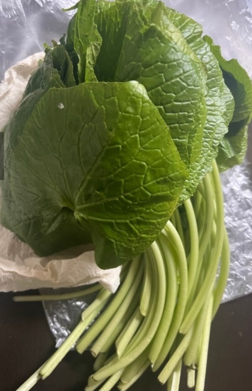 6시내고향-철원-고추냉이-정가농원