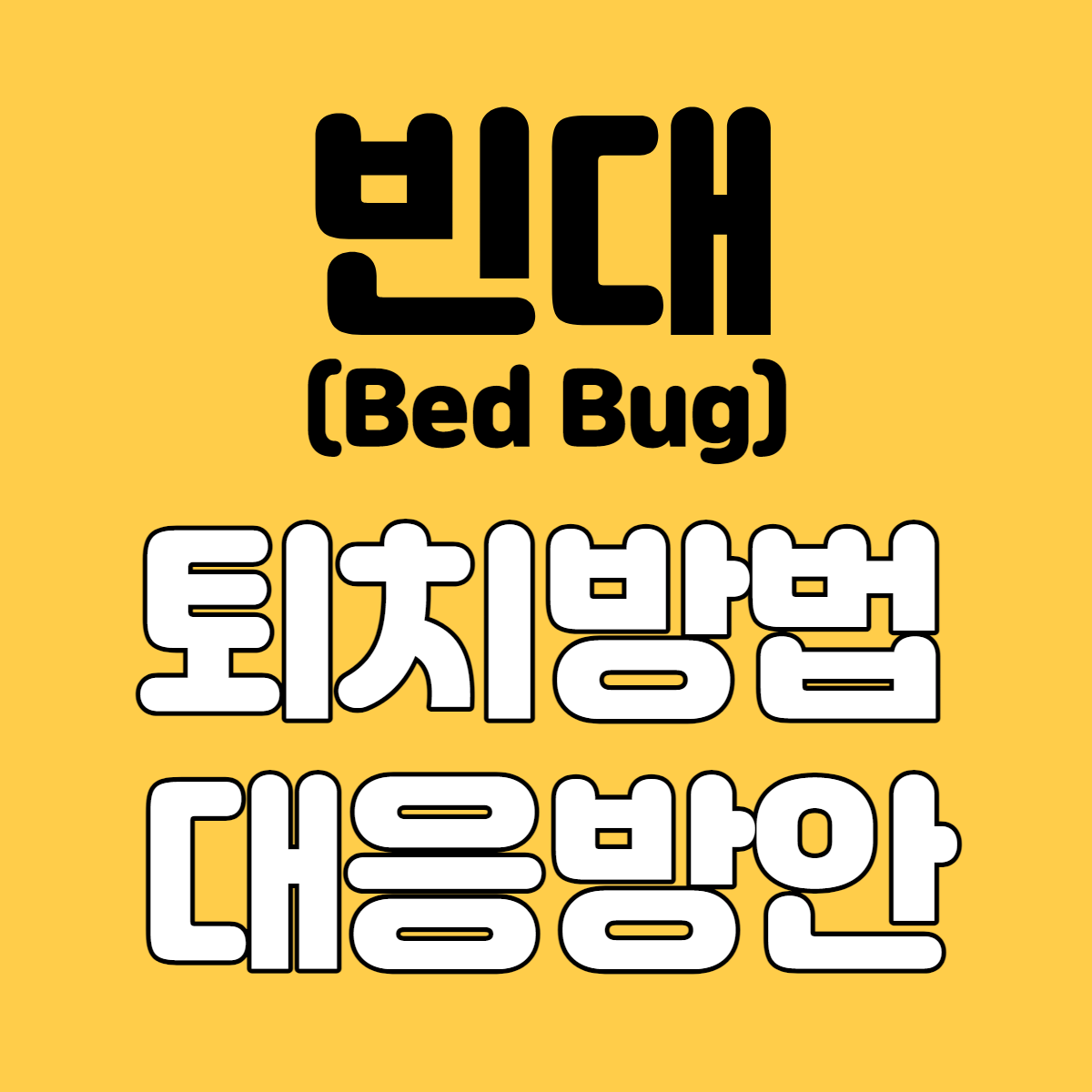 빈대 퇴치방법, 대응방안