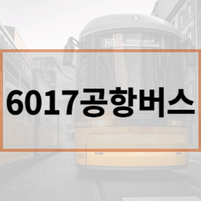 6017공항버스