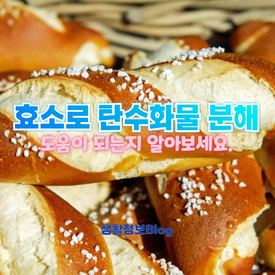 효소로 탄수화물 분해