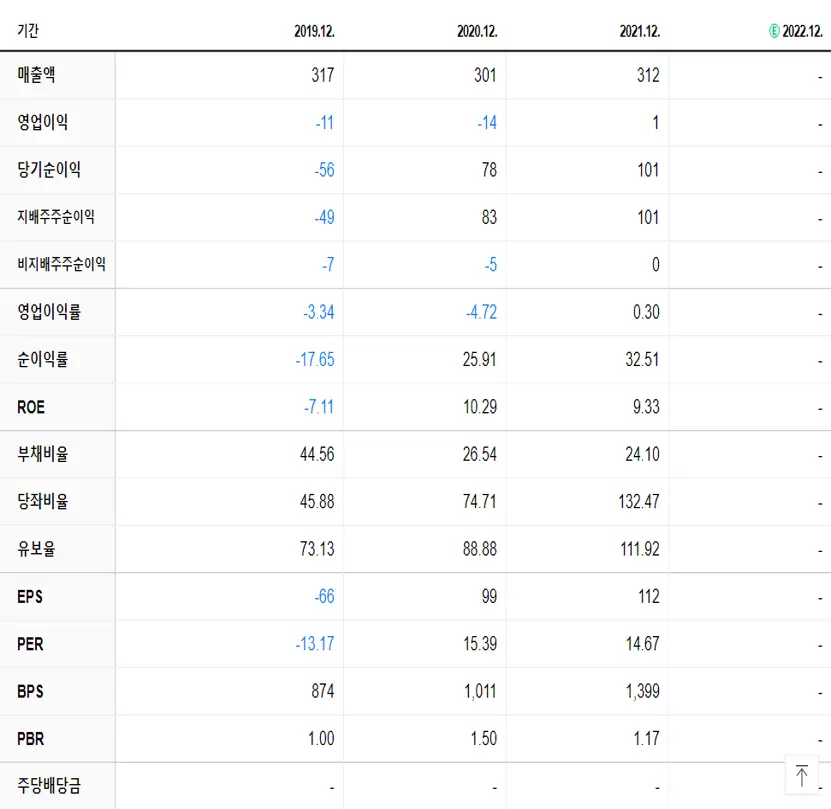 위지트 재무제표