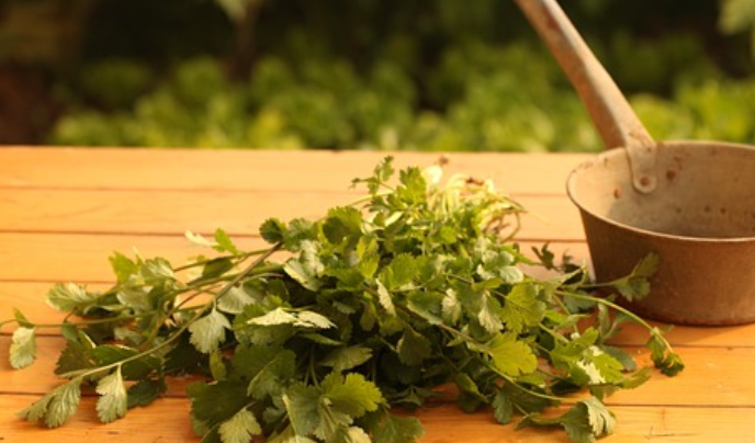 고대 그리스의 정신 질환 치료법과 현대 심리학 비교