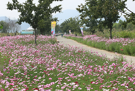 밀양-초동연가길
