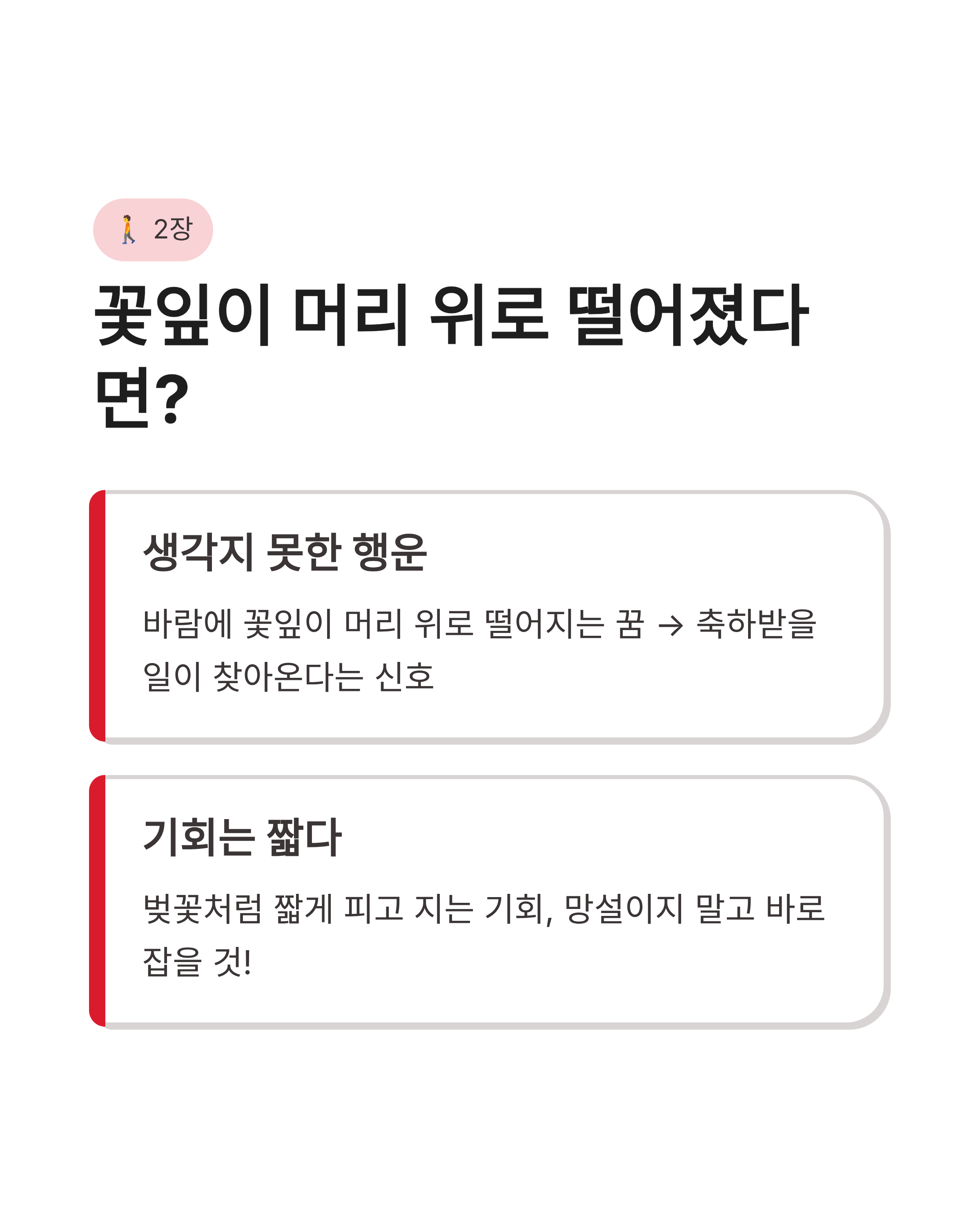 벚꽃꿈 해몽 벚꽃 구경하고 지는 꿈까지 기분 좋은 연애운과 반전 복의 신호?