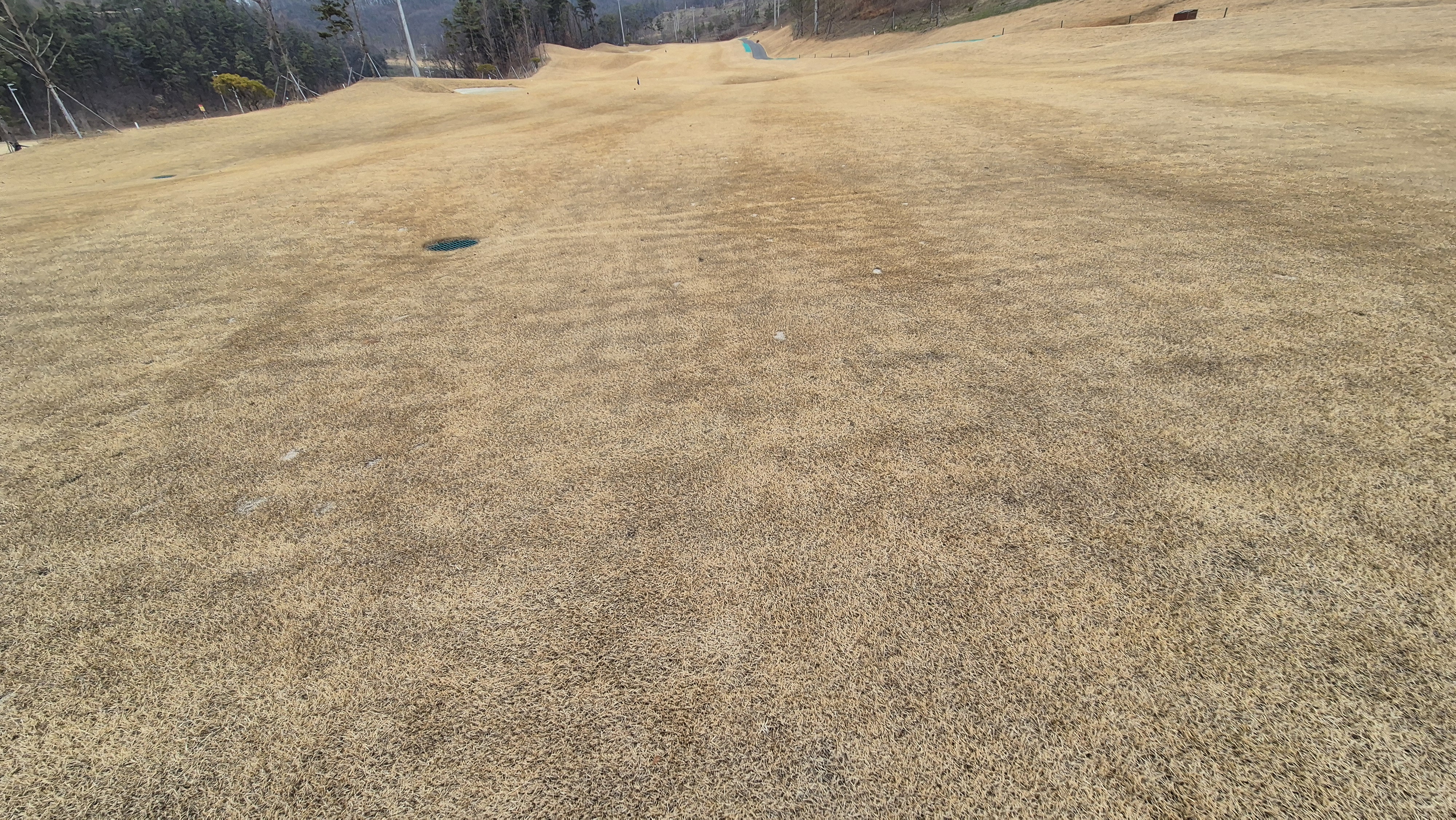 모나크cc 라운드 후기 코스난이도