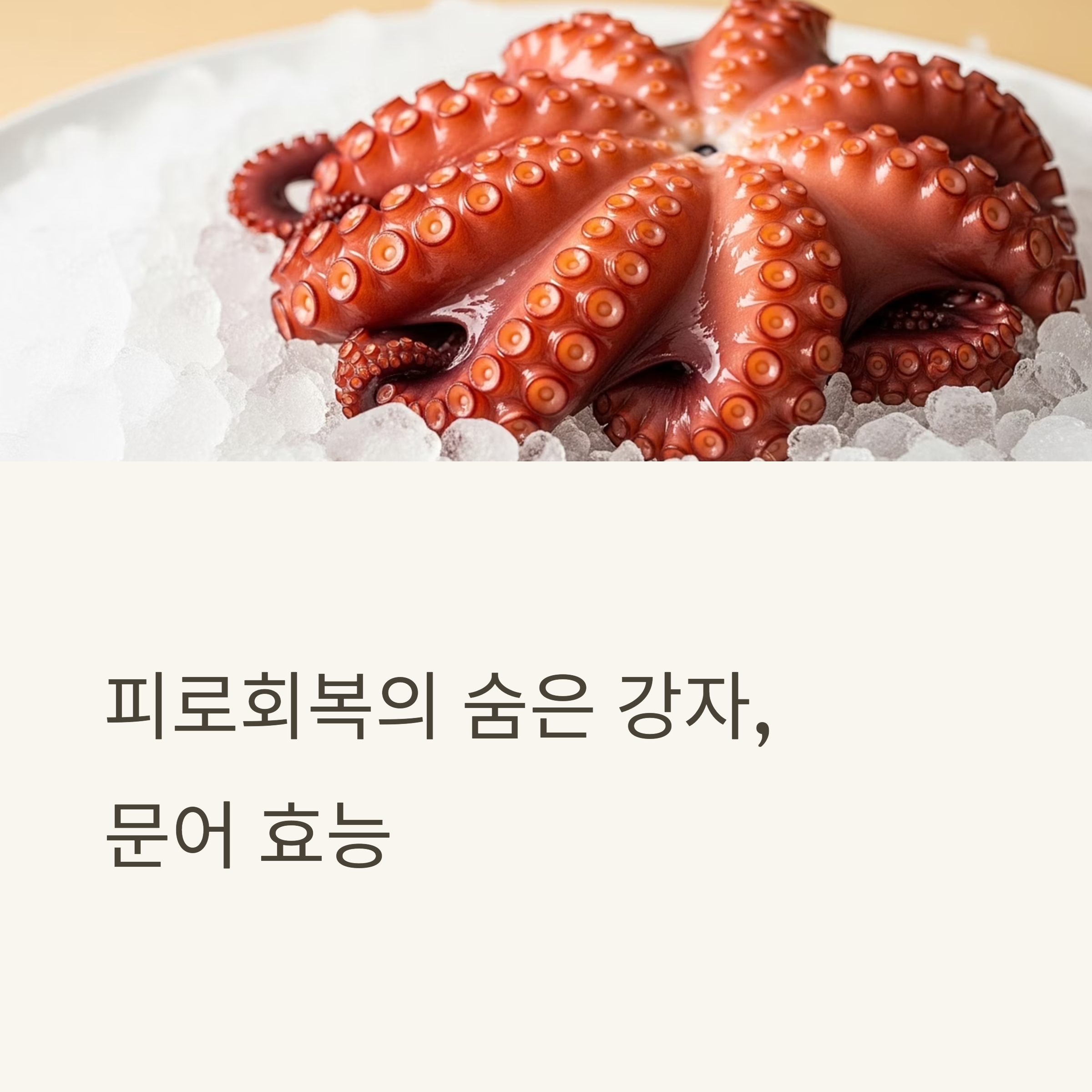 피로회복의 숨은 강자, 문어 효능