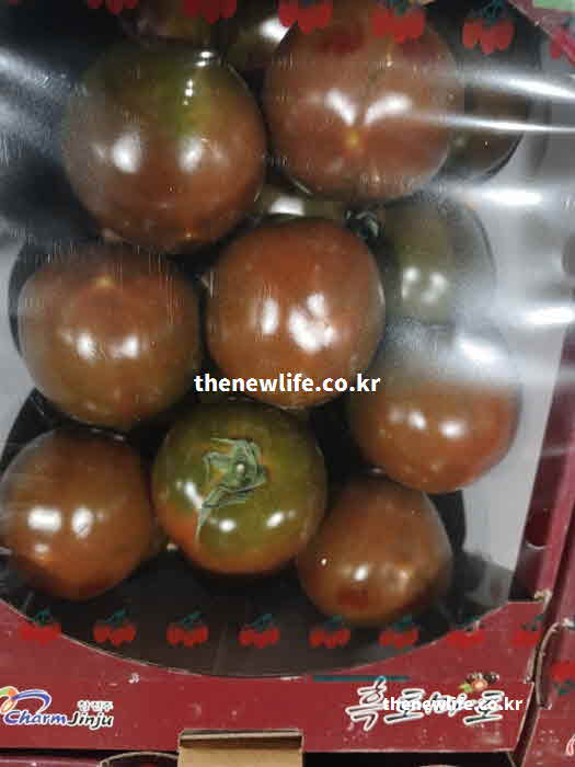 흑토마토 효능 부작용 주의사항 공복