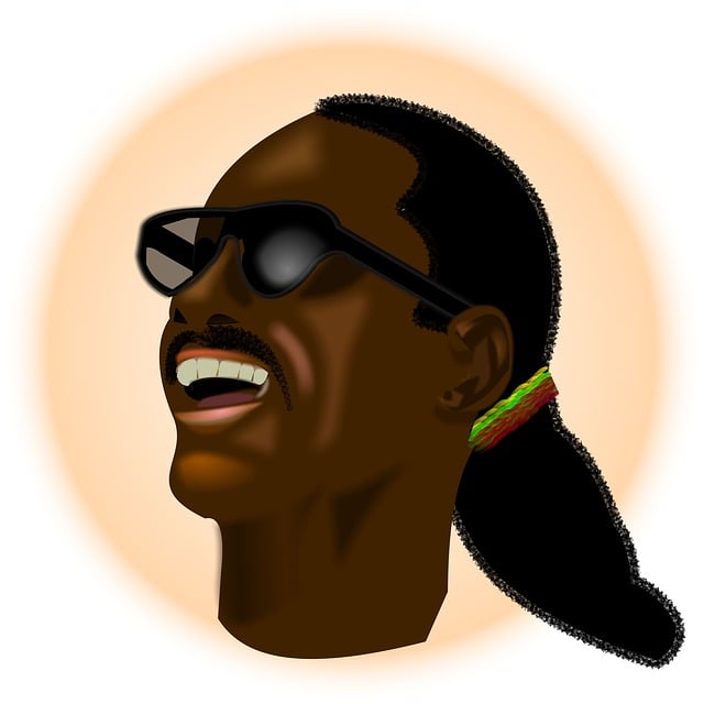 스티브 원더 관련 이미지