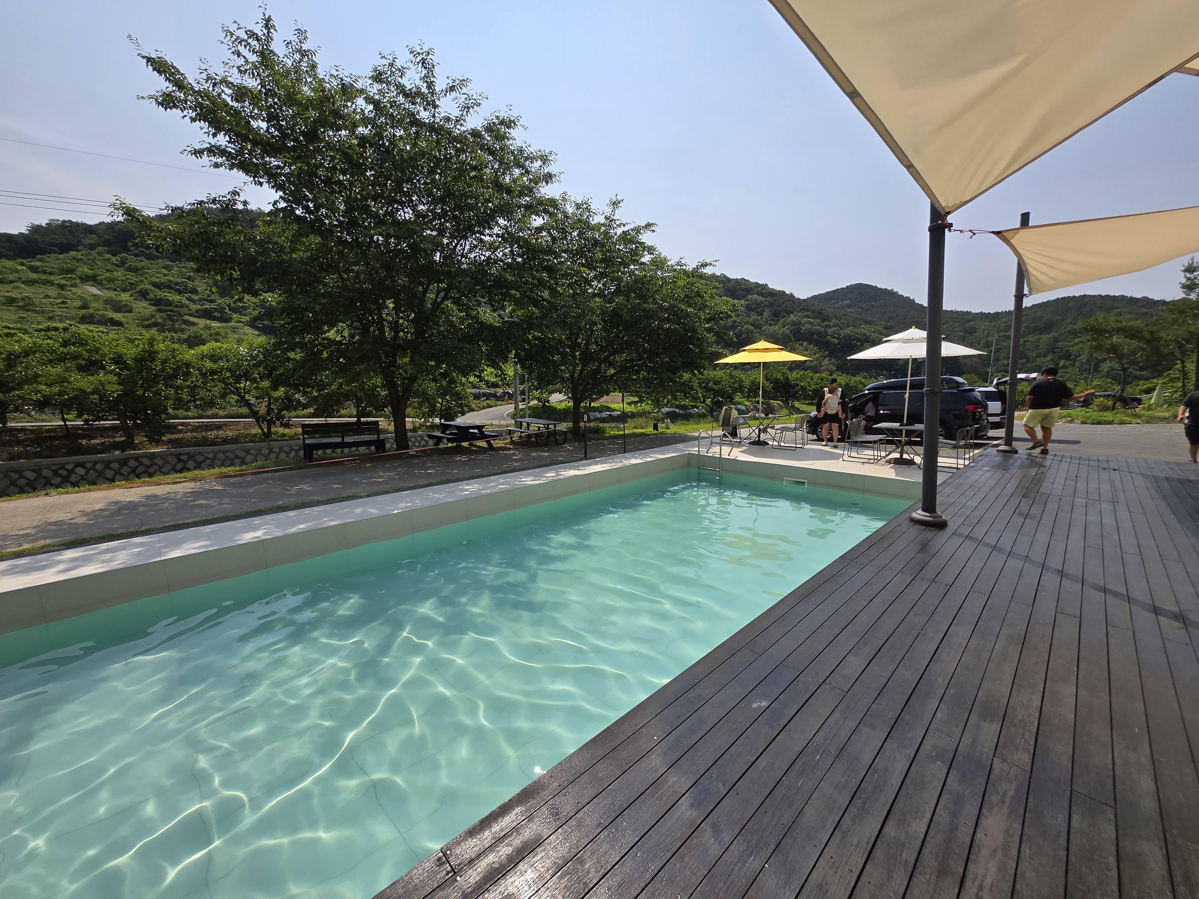 청도 수영장 카페 트리풀