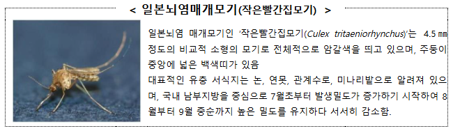 일본뇌염매개보기(작은빨간집모기)