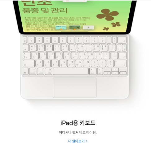 아이패드 학생할인