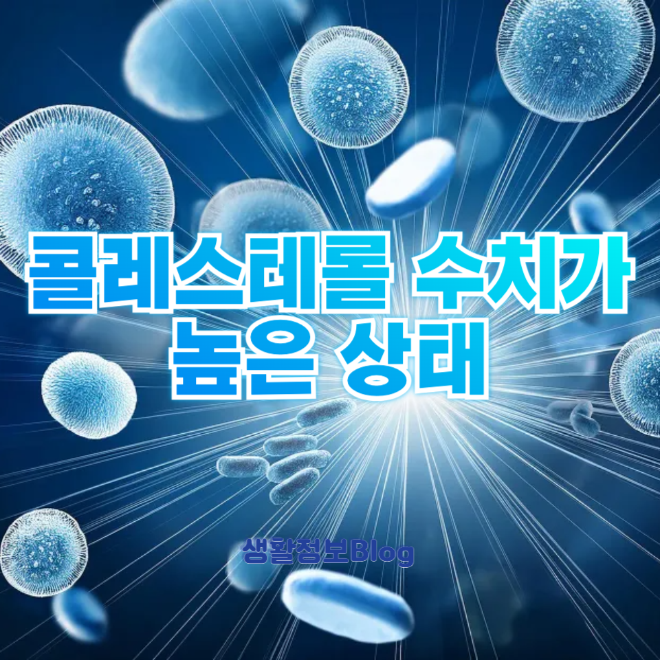 콜레스테롤 수치가 높은 상태