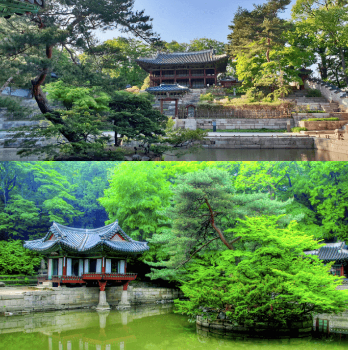 창덕궁 후원