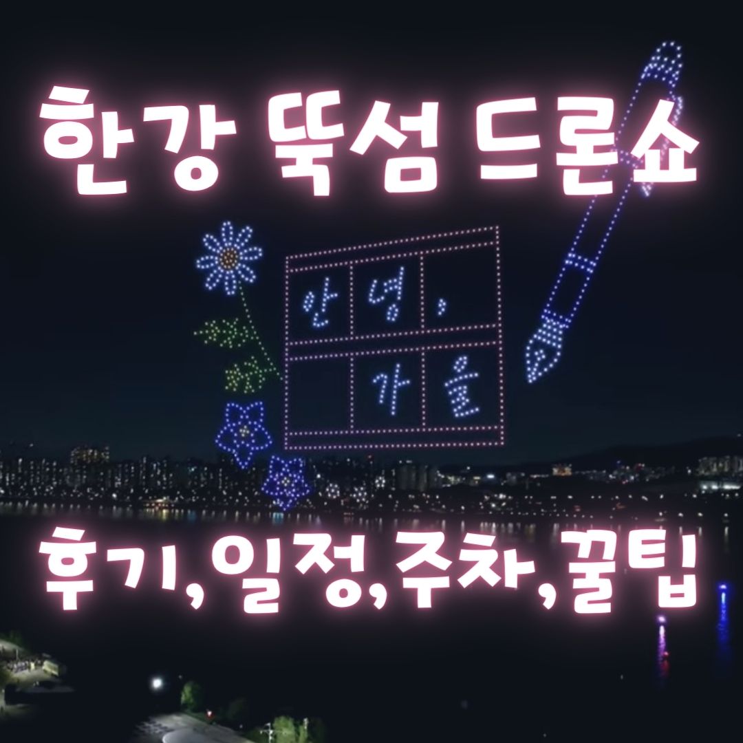 뚝섬-드론쇼