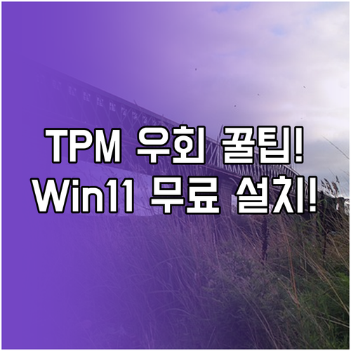 2025년 10월 14일 윈도우 11..