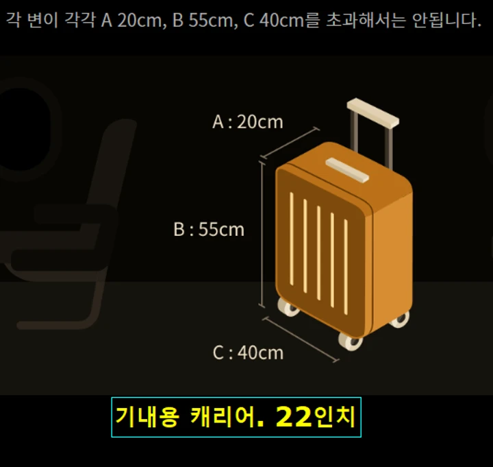 기내수하물