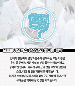 LGG유산균 추천
