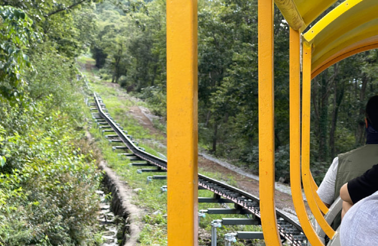 영천 보현산 짚라인