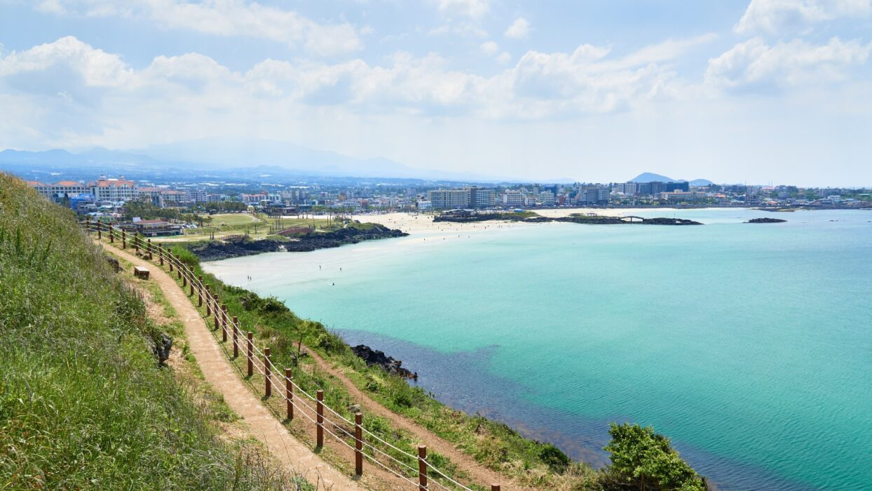 제주도 바다 이미지